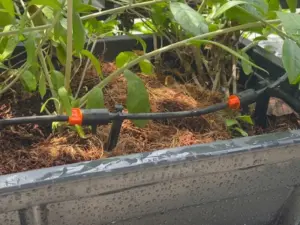 Thiết kế và thi công hệ thống tưới cây tự động diện rộng cho sân vườn biệt thự tại tỉnh Long An