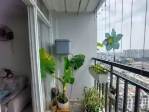 Lắp đặt bộ bình tưới nhỏ giọt cho ban công tại chung cư Him Lam Phú Đông - Dĩ An
