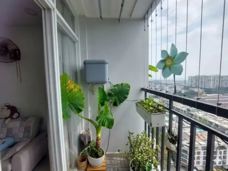 Lắp đặt bộ bình tưới nhỏ giọt cho ban công tại chung cư Him Lam Phú Đông – Dĩ An