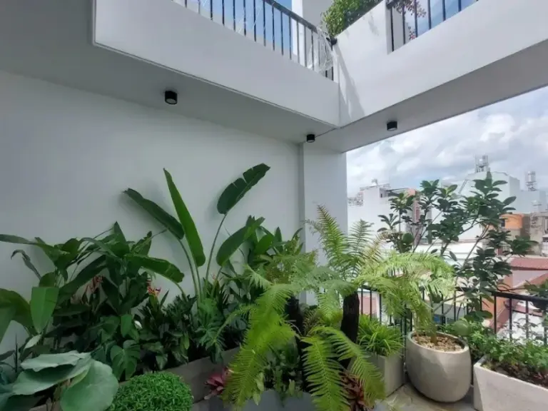 Lắp đặt hệ thống tưới cây tự động cho ban công nhà phố tại quận Tân Phú, TP.HCM