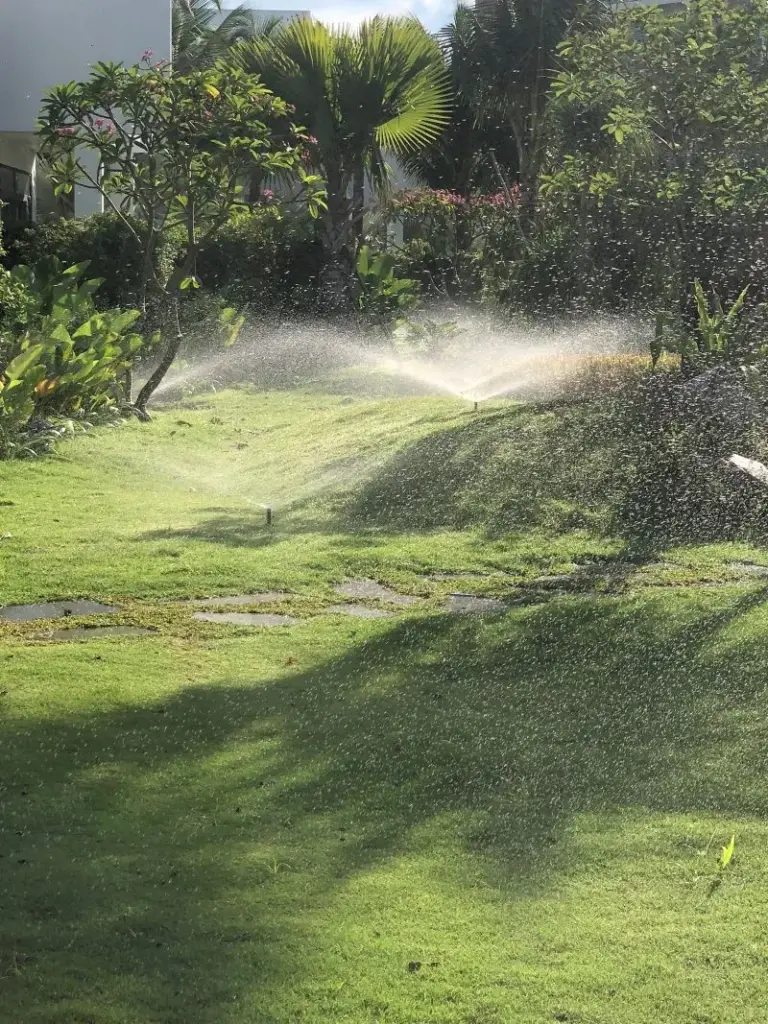 Dịch vụ tư vấn tự lắp hệ thống tưới tự động cho villa, cảnh quan nhỏ
