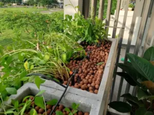 Thiết kế và thi công hệ thống tưới cây tự động tại KDC Đông Tăng Long, Quận 9