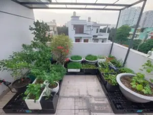 Thi công hệ thống tưới cây tự động nhỏ giọt cho vườn rau sân thượng tại quận Bình Tân