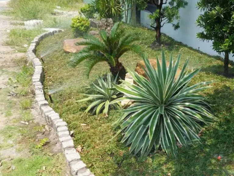 Cải tạo lại hệ thống tưới cây tự động tại Hiệp Phước, huyện Nhà Bè, TP. Hồ Chí Minh