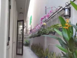 Thi công hệ thống phun sương tưới lan tại Him Lam - Quận 7, TP. HCM