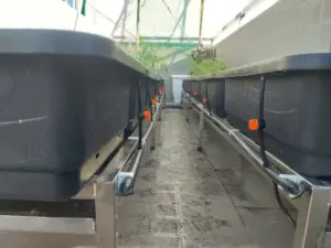 Thiết kế và thi công hệ thống tưới cây tự động nhỏ giọt tại đường Nhật Tảo, Quận 10, TP.HCM