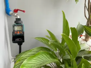 Thiết kế và thi công hệ thống tưới cây tự động cho ban công tại Vinhomes Grand Park Quận 9